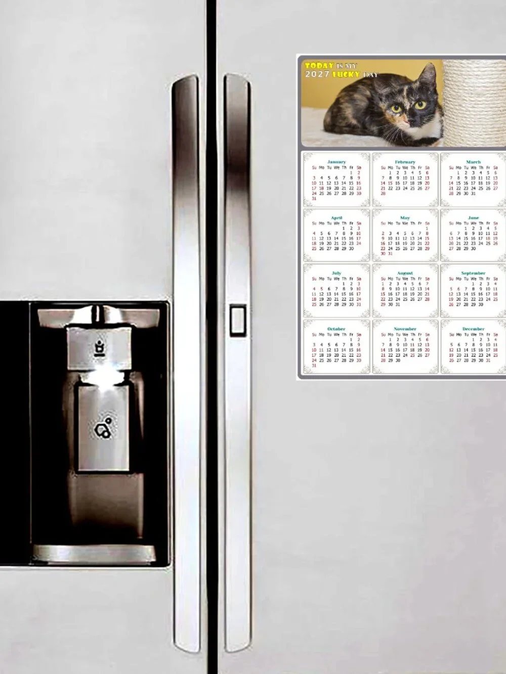 2027 Magnetic Calendar - Today is my Lucky Day - Cat Themed 024 (7 x 10.5)